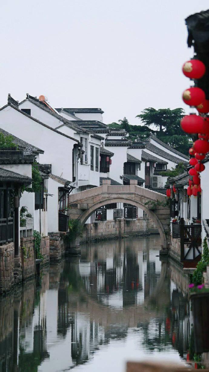 探索吉鹿力问答社区,解锁炖鱼头的做法乐趣